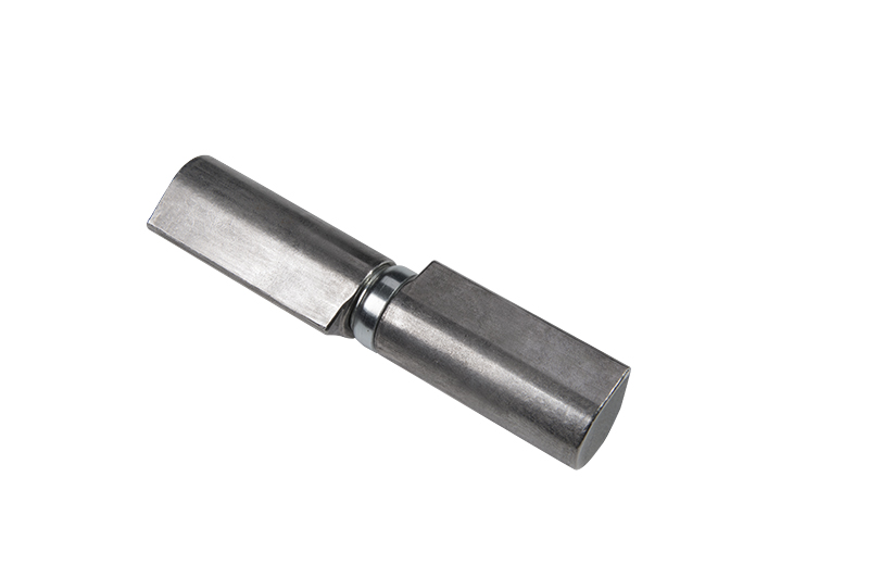 SP497-10